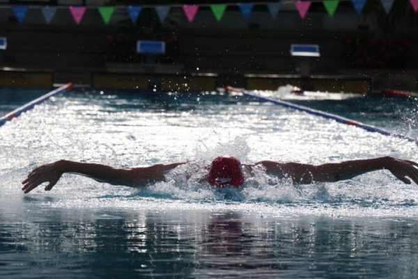 กีฬาว่ายน้ำของสหราชอาณาจักร